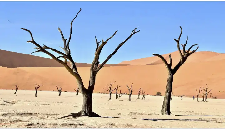 Image of aridity and desertification